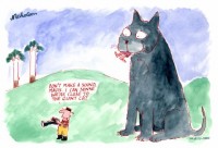 giant Feral cat spotted in Otways 520