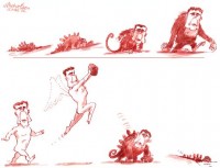 Mar Wayne Carey evolution 504