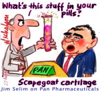 Pan Jim Selim scapegoat web