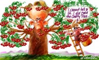 Latham Howard Superannuation cherry 450275