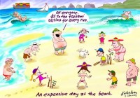 Beach cricket tsunami fundraiser 450