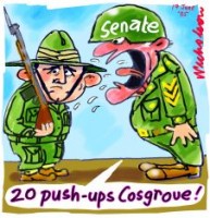 Senate committee hits ADF on mil police 226