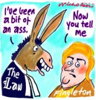 Di Fingleton Queensland exonerated 226