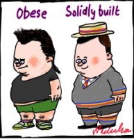 obesity amongst poor 226