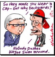 Swan forced to accept cap 226233