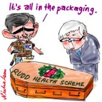 coffin for health scheme 226