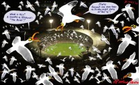 _Seagulls_havoc_at_MCG_night_football_650