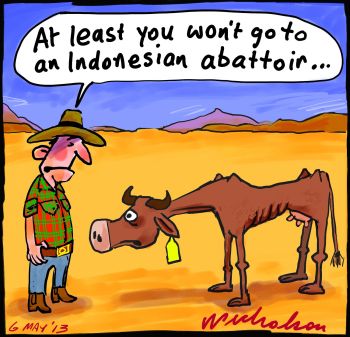 NSW drought farmers destroy stock cartoon 2013-05-06
