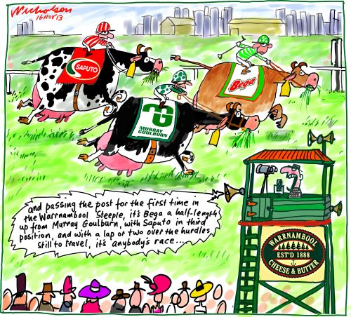Warrnambool Cheese and Butter takeover horse race with cows Bega Murray Goulburn Saputo Buisness cartoon 2013-11-16 