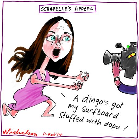 Schapelle Corby parole. What is her appeal public obsession cartoon 2014-02-10