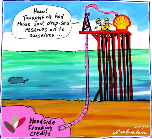 Shell want Woodside's franking credits Business cartoon 2014-08-02 